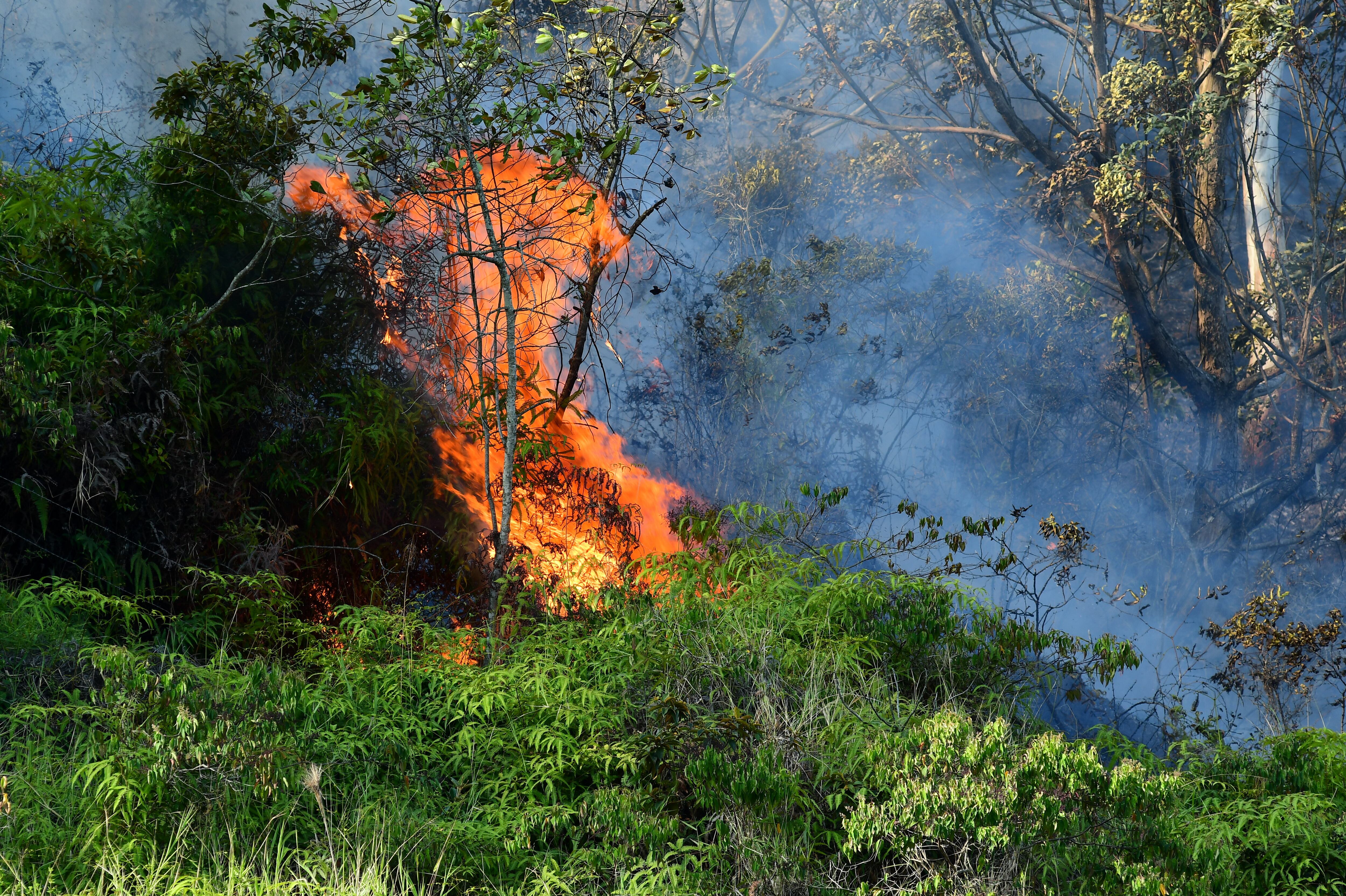 de 20Incendio forestal en la buitrera , Sep 21 23, en Cali Valle