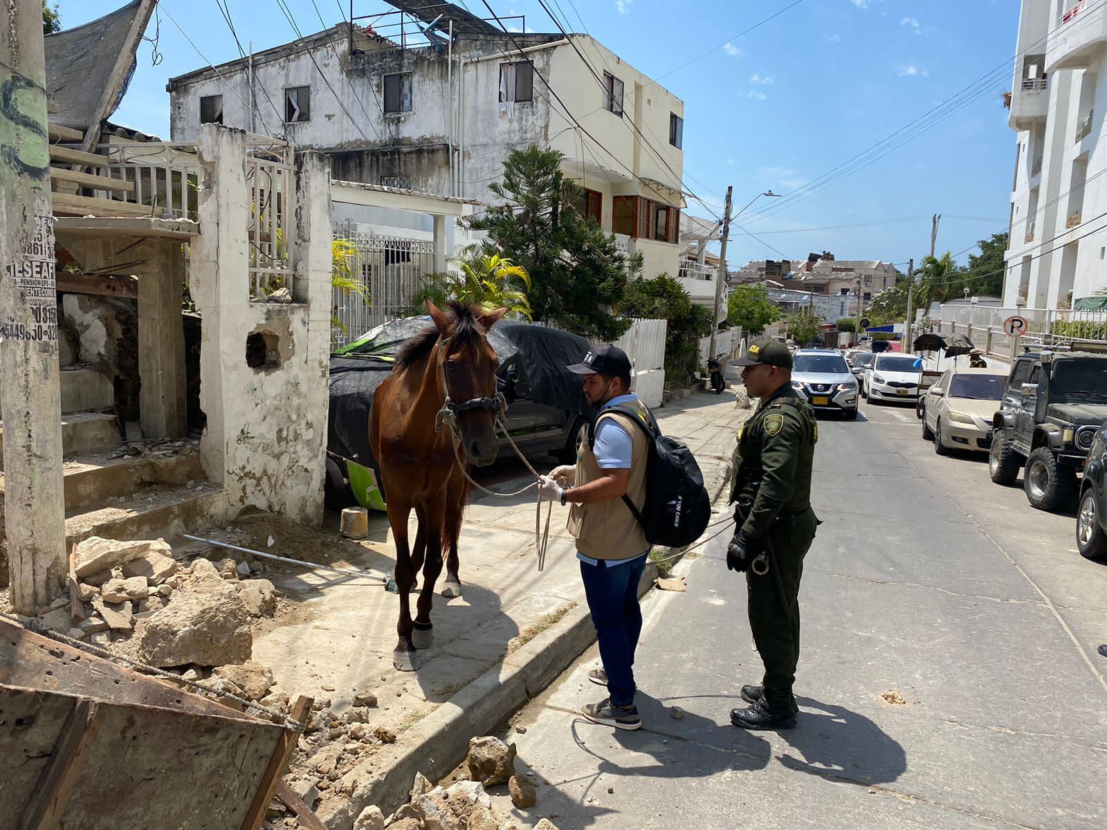 Maltrato animal en Cartagena