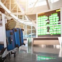 El funcionario de aduanas en el aeropuerto de Roissy, al norte de París, habría recibido 45.000 euros (unos 225.000.000 de pesos colombianos) por “cerrar los ojos” y dejar pasar maletas procedentes de México, según una fuente próxima al caso con alcaloide.