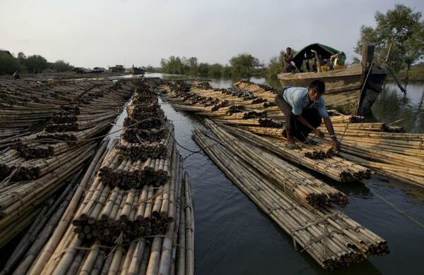 Un hombre se baja de su bote para atarlo a unas balsas de bambú en Sittwe, Birmania. (AP)