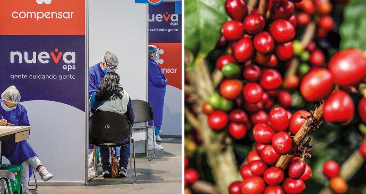 El proceso de vacunación marcha a buen ritmo a pesar de los desafíos logísticos. Mientras tanto, el café, el petróleo, el oro y otros minerales tienen un nuevo ciclo de precios al alza. Estos factores indican buenas señales sobre lo que viene.
