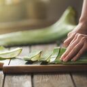 El aloe vera es una planta con muchas propiedades.