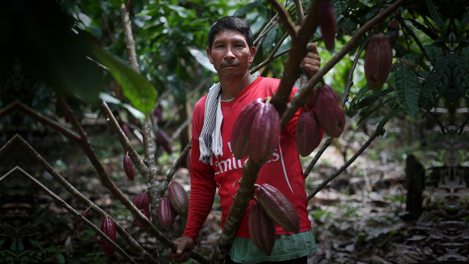NO USAR, USO EXCLUSIVO MEJOR COLOMBIA, Davivienda