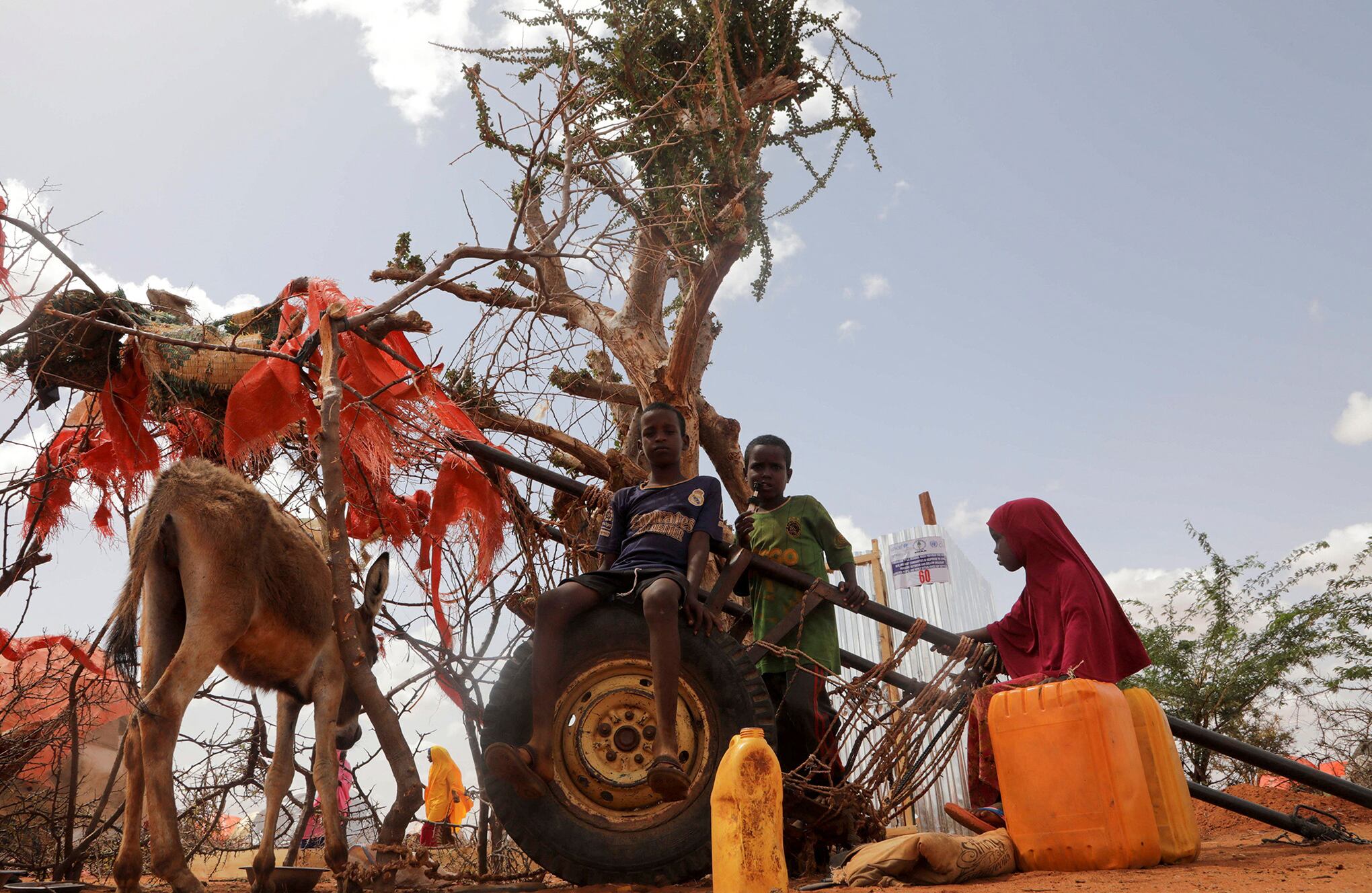 En imágenes : Mientras crece el hambre en Somalia, los bebés comienzan a morir