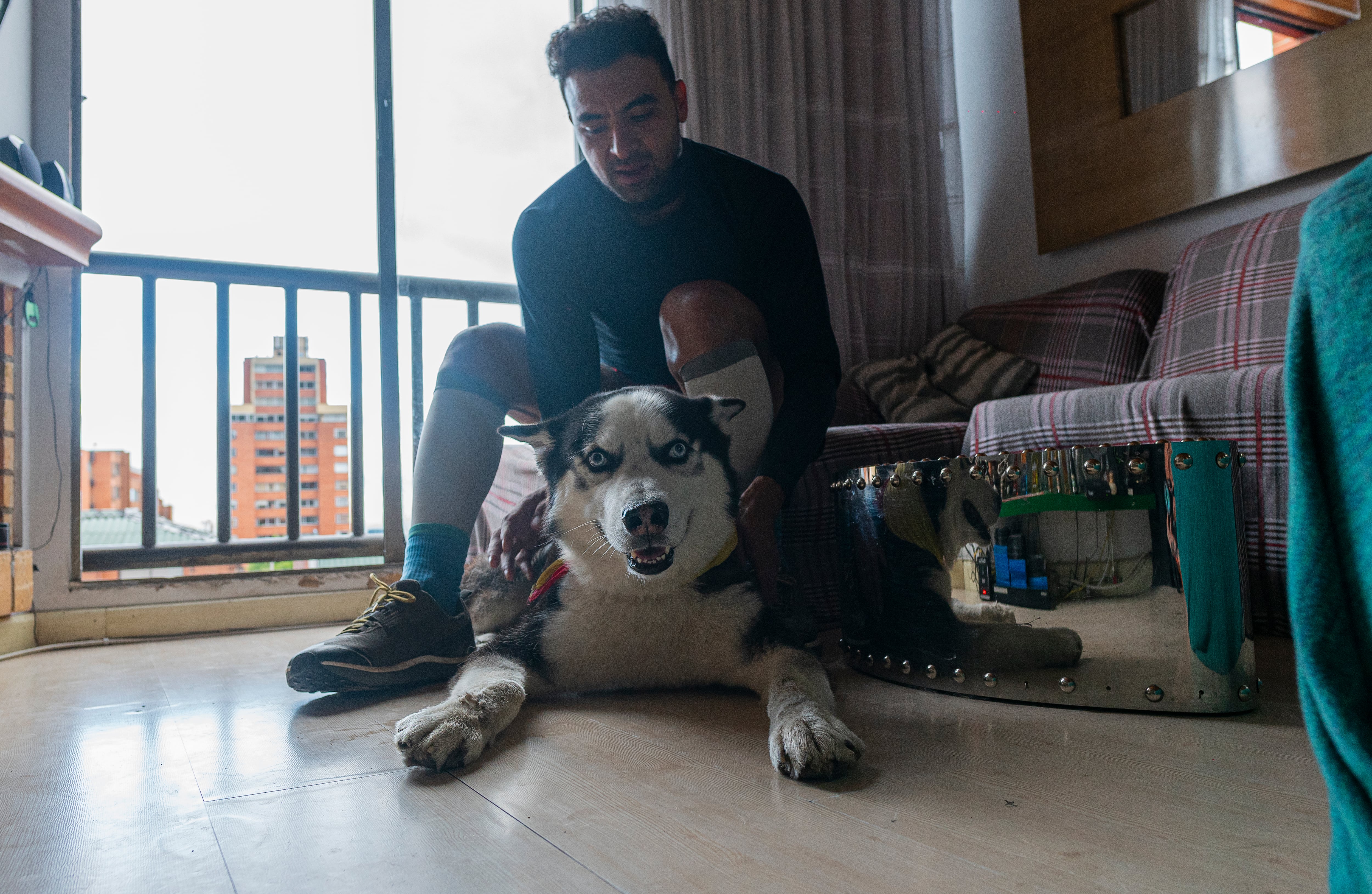 Los expertos sugieren que las personas incluyan tiempo para compartir con sus perros en su agenda diaria de actividades durante el confinamiento, por ejemplo, sumarlos dentro de las pausas activas mientras se esté trabajando desde casa.