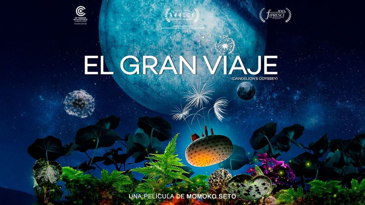 Una nueva producción audiovisual llega al país.