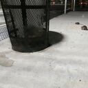 Ratas en Nueva York comiendo fuera del suelo cerca de un bote de basura
