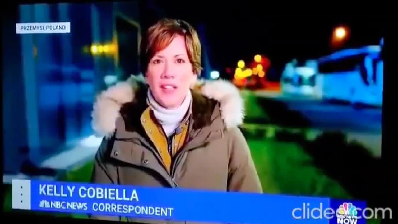 Periodista criticada por actos racistas contra los refugiados sirios