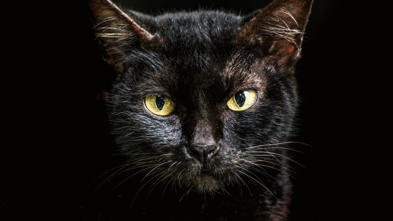 La mirada que ilumina