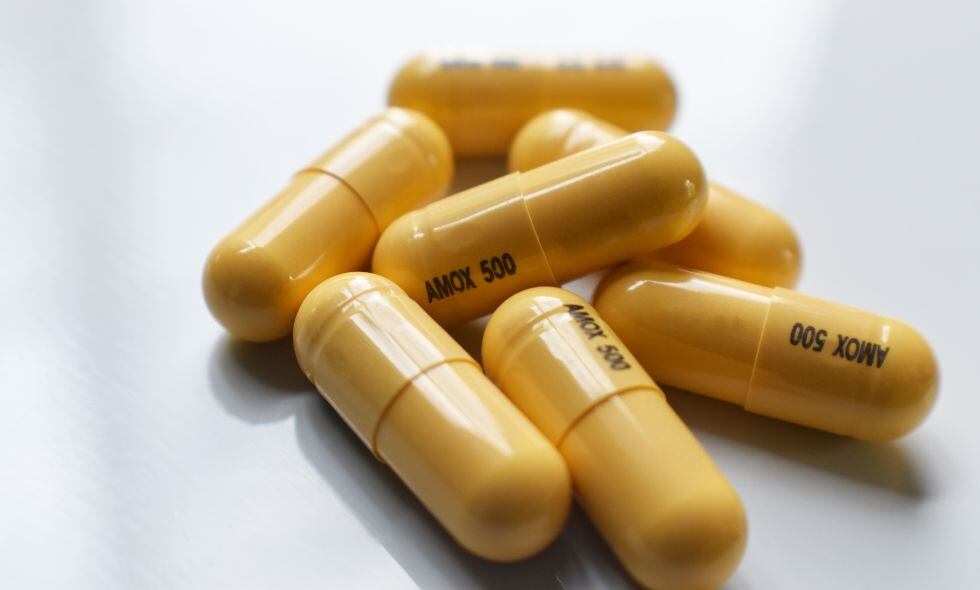 amoxicilina / medicamentos