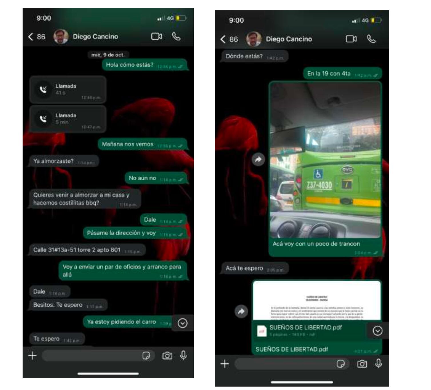 Chats de Viviana Vargas con Diego Cancino.