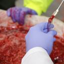 Cae red que enviaba al exterior cocaína líquida camuflada en pulpa de fruta