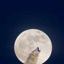 En enero habrá una Luna llena llamada 'Luna de Lobo'.