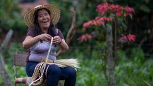 Los creadores gambiteros se caracterizan por su ingenio para convertir en materia prima casi toda ‘maleza’ que crece en potreros, siembras y hasta en caminos de tierra.