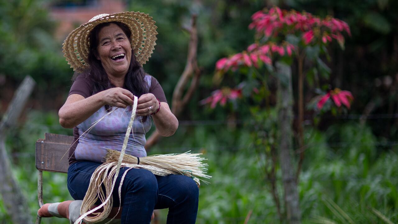 Los creadores gambiteros se caracterizan por su ingenio para convertir en materia prima casi toda ‘maleza’ que crece en potreros, siembras y hasta en caminos de tierra.