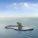 El deshielo en el Ártico alcanzó su nivel más alto en 2017 debido al cambio climático. Foto: Archivo/Semana.com