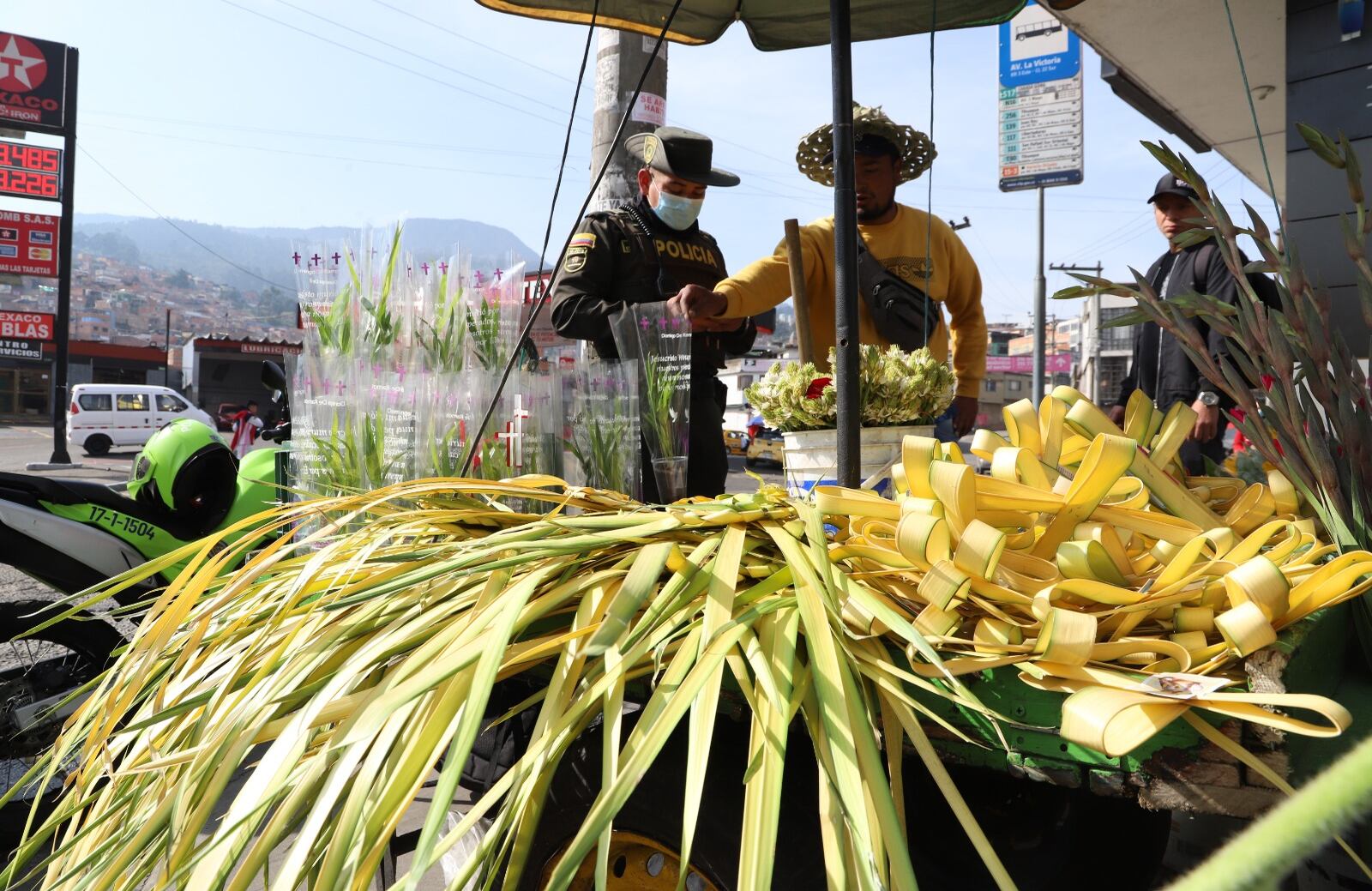 Domingo de Ramos / Palma de Cera