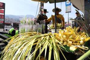 Palma de cera no se podrá utilizar en Semana Santa.