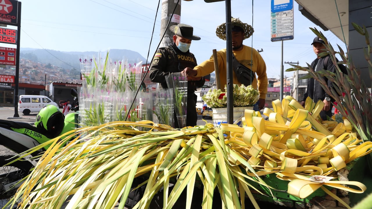 Palma de cera no se podrá utilizar en Semana Santa.