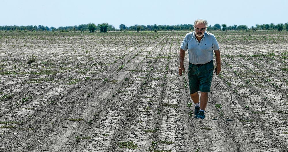 La inflación y la sequía están llevando a Argentina a una crisis alimentaria