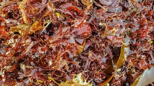 La extracción de la carragenina implica la separación de las algas de otras impurezas.