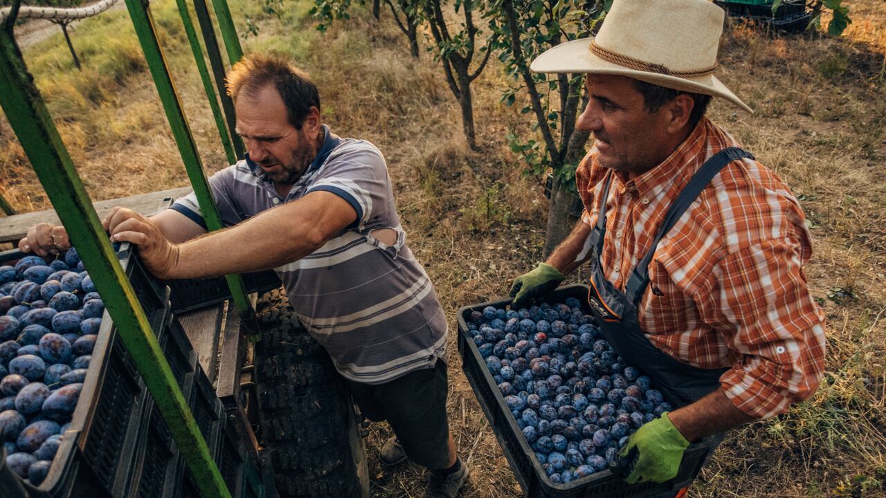 Con estas iniciativas, el producto local colombiano podría alcanzar nuevos mercados. (Imagen de referencia).