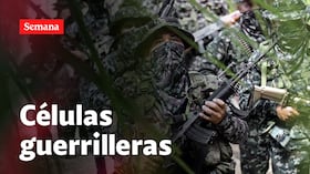 Guerrillas buscan desestabilizar el país a través de algunas universidades