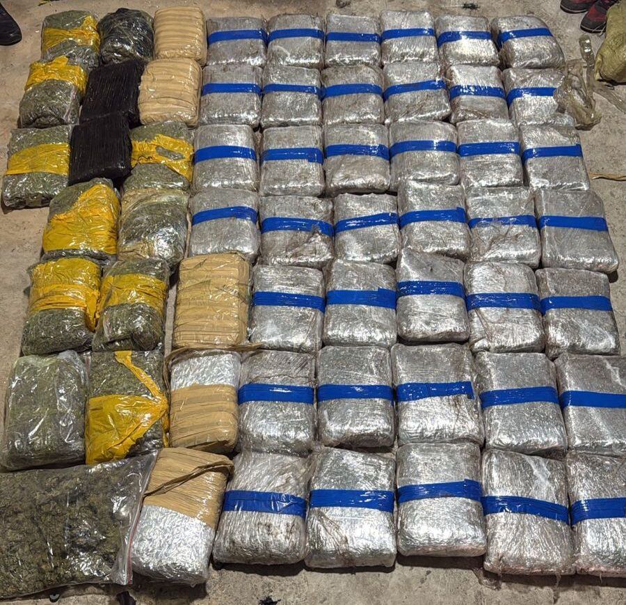La policía metropolitana logró incautar 60 kilos de marihuana escondidos bajo tierra
