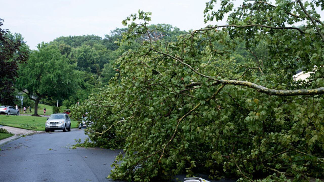 Imagen de referencia.