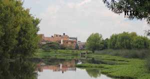 Cómo era el humedal La Vaca de Kennedy | Noticias Bogotá hoy