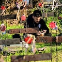 Un hombre se sienta entre tumbas en el sector denominado "Patio 29", declarado Monumento Histórico en 2006, que fue utilizado durante la dictadura militar para enterrar clandestinamente a políticos ejecutados, en el Cementerio General de Santiago el 30 de agosto de 2023, día en el que El presidente de Chile, Gabriel Boric, presentó el Plan Nacional de Búsqueda de Desaparecidos para encontrar víctimas desaparecidas de la dictadura de 1973-1990. (Photo by MARTIN BERNETTI / AFP)