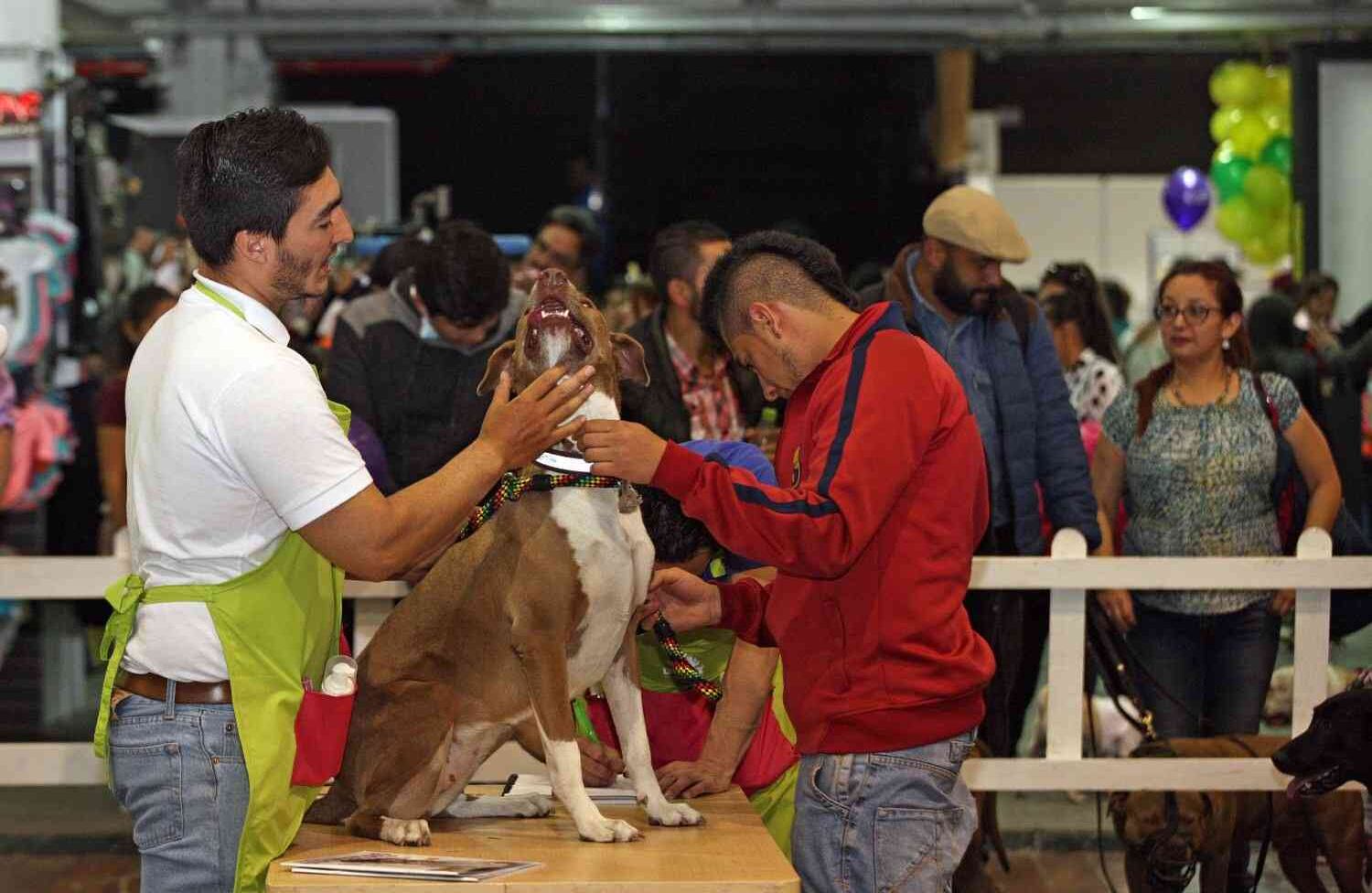 Foto: León Darío Peláez / SEMANA 