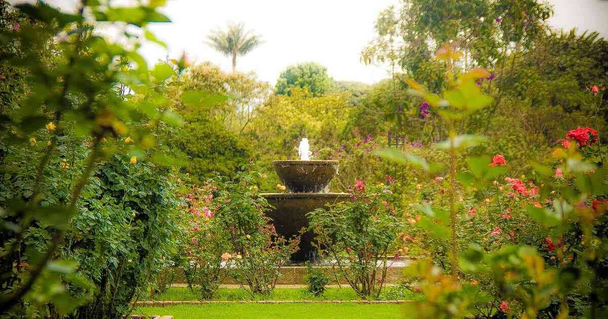 El Jardín Botánico de Bogotá cuenta con 903 especies. Foto: Cortesía: JBB
