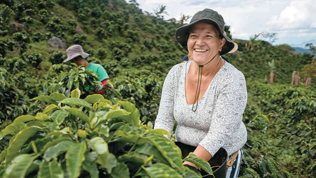 El posconflicto colombiano es objeto de interés académico en el mundo