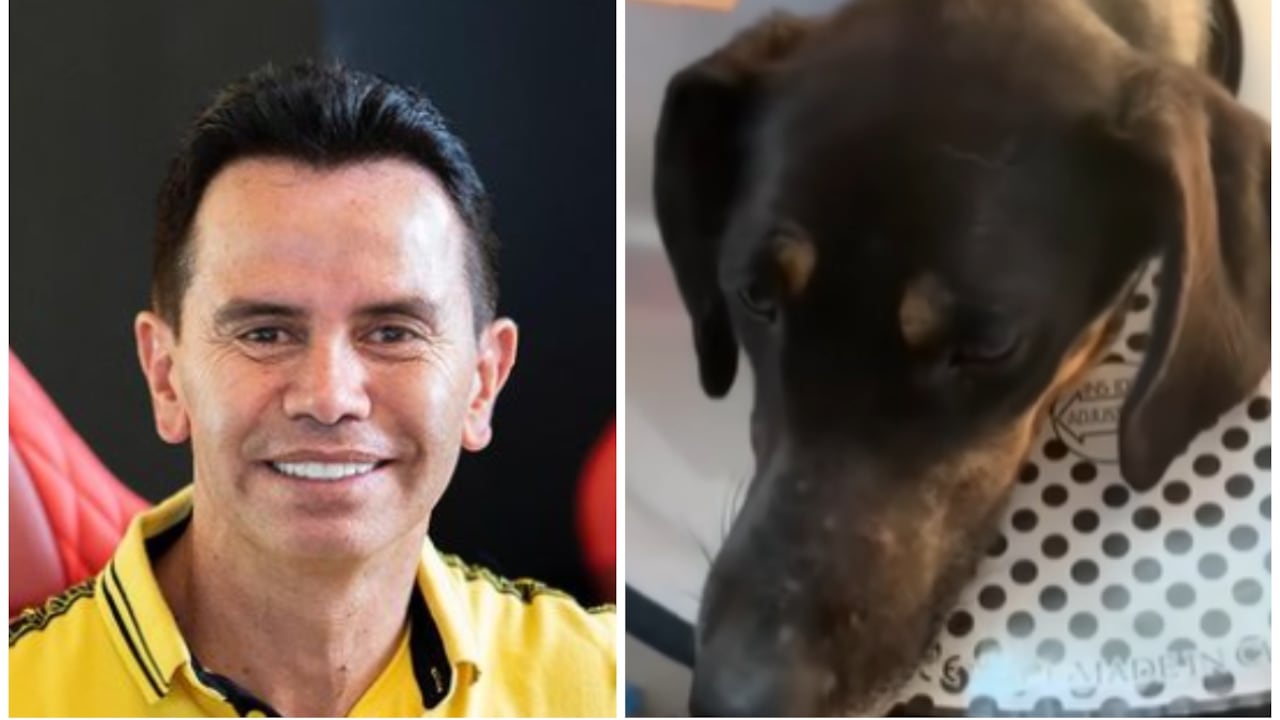 Jhonny Rivera le salvó la vida a una perrita.