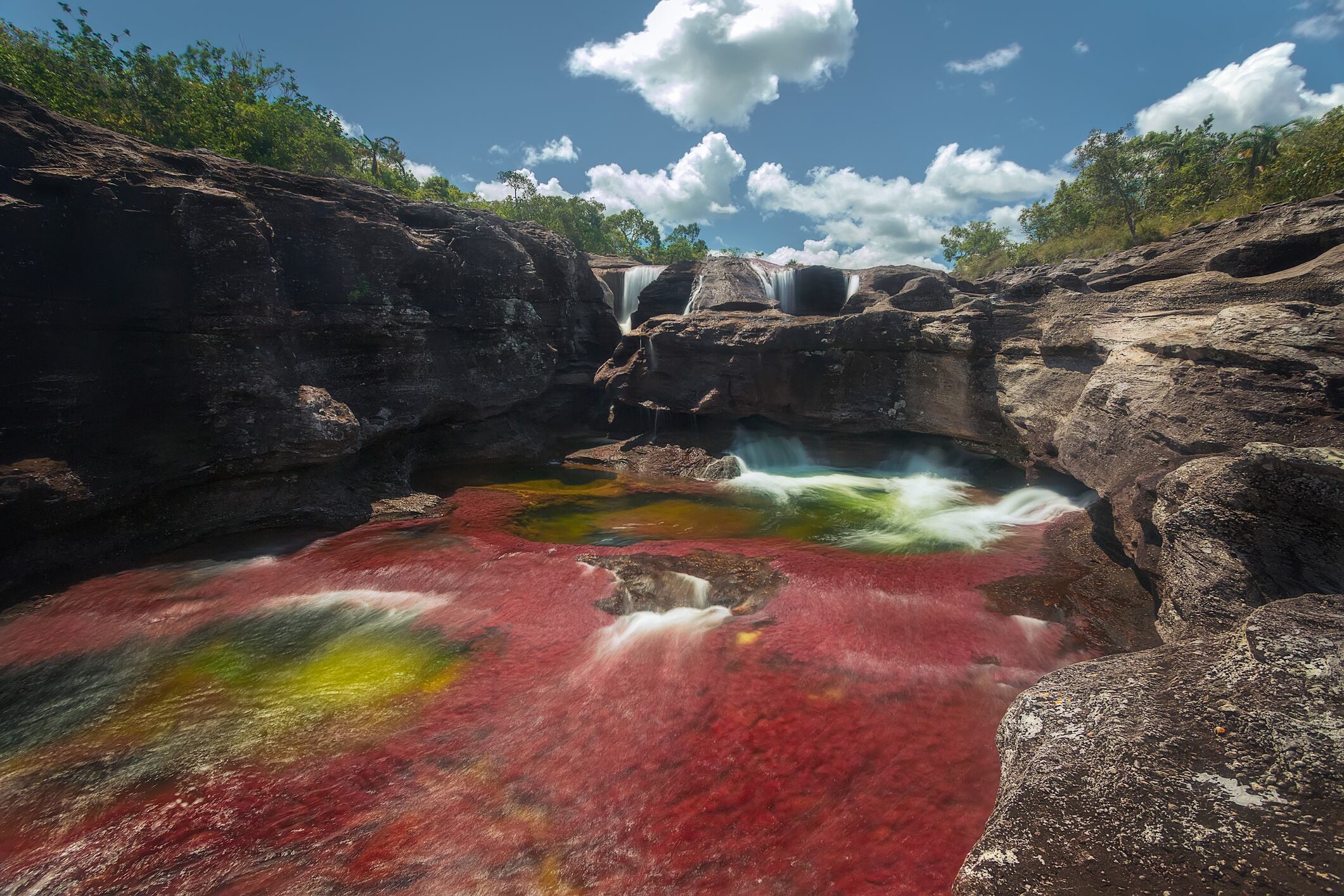 ¿Qué hay que tener en cuenta para viajar a Caño Cristales, el río de los siete colores?