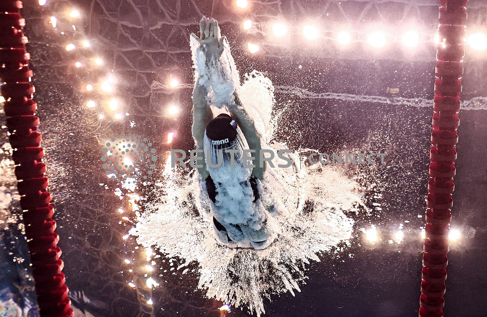 Fotos de la semana 28 julio