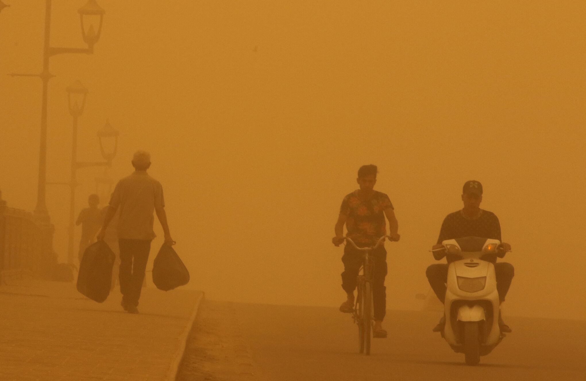 Fotos de la semana 20 mayo