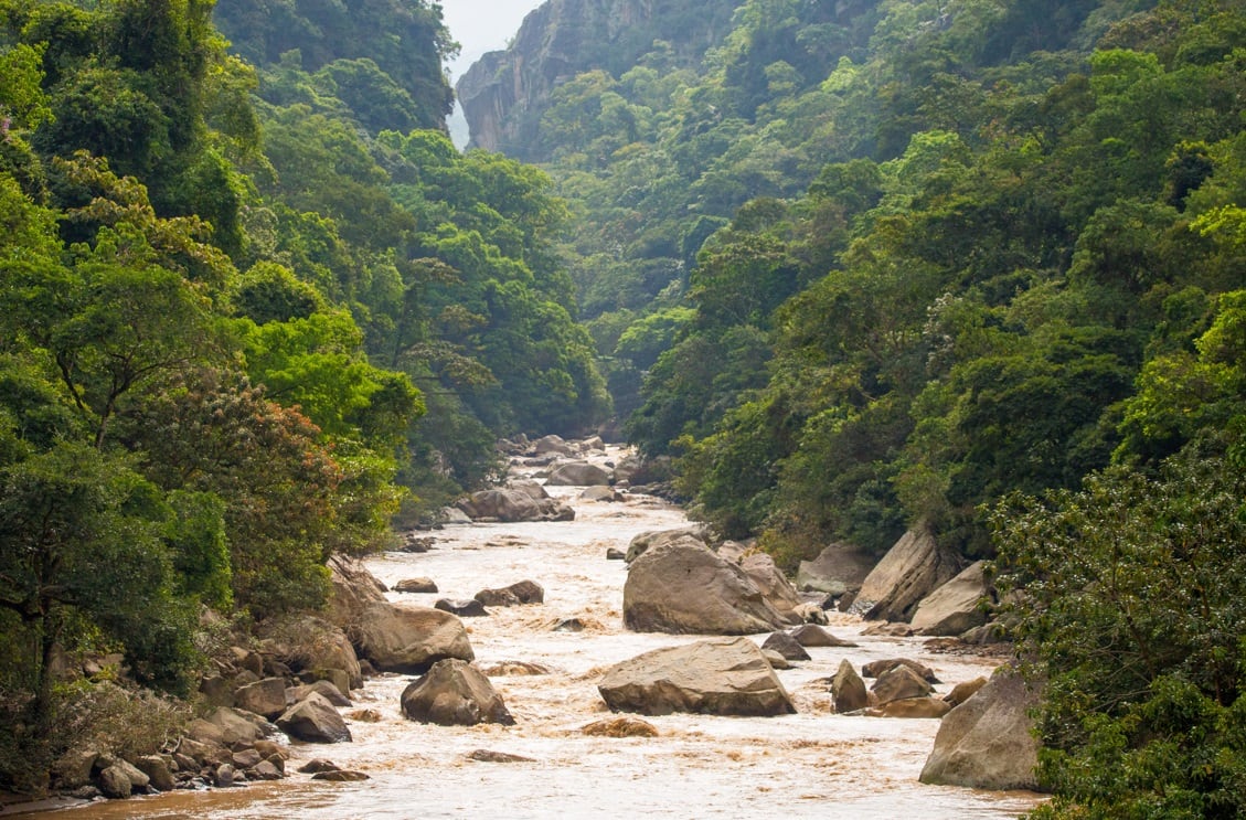 Amarilo desarrolla seis programas centrados en: biourbanismo, paisaje sostenible, inversiones estratégicas en ecosistemas amenazados, Educabio, relacionamiento estratégico y generación de alianzas y Compensainnova.
