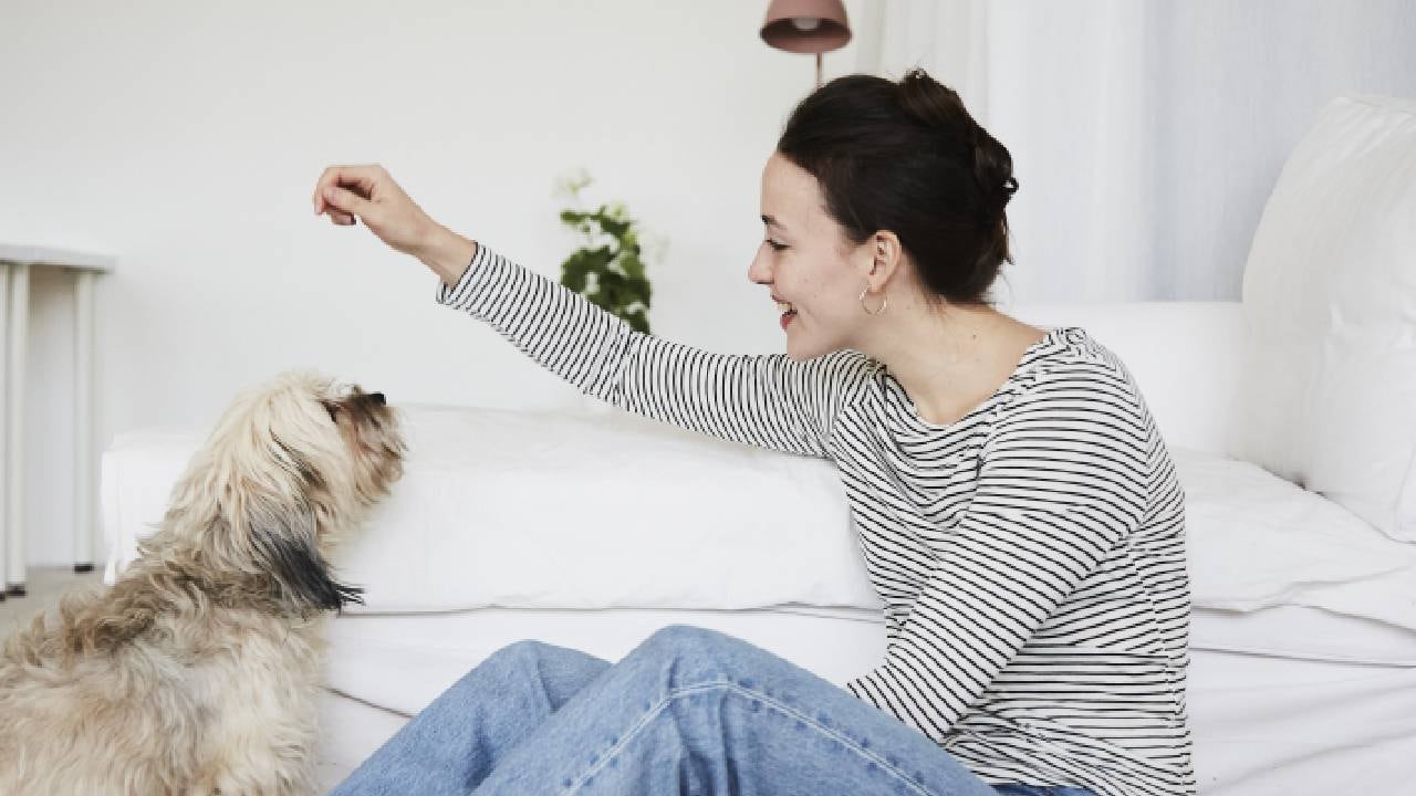 Expertos canadienses de la Universidad de British Columbia hicieron una aproximación.