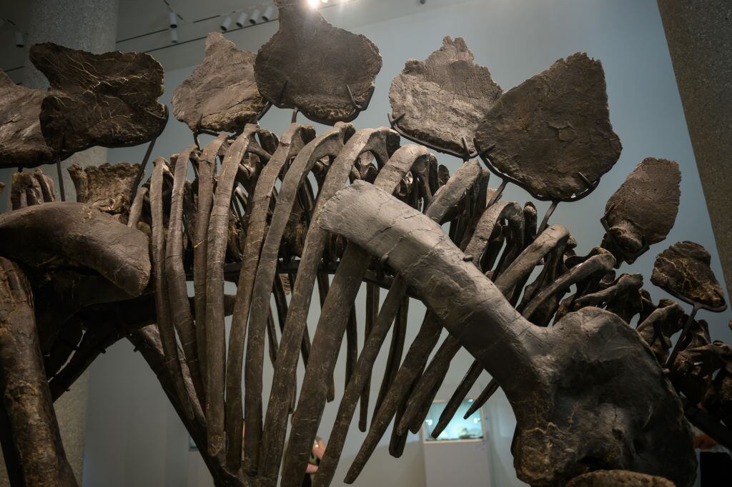 Los 44,6 millones fueron pagados por un comprador anónimo.