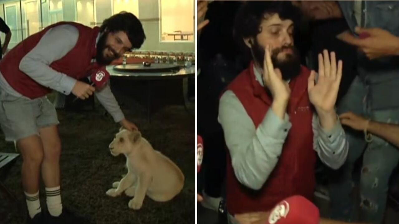 Defante se hizo viral en redes sociales por sus videos.