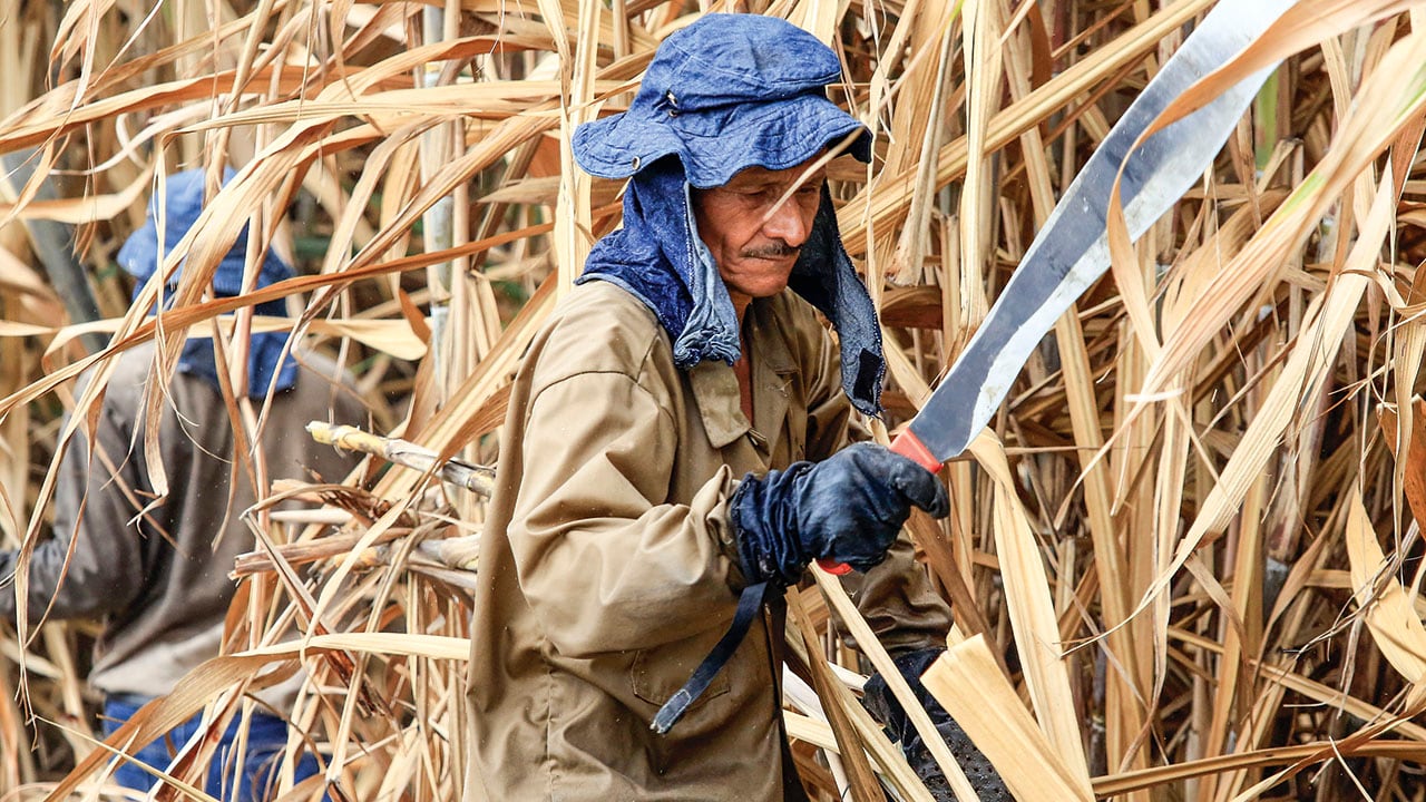 Los trabajadores del sector de la caña de azúcar advierten sobre las graves consecuencias de cambiar el regimen tarifario de los biocombustibles.