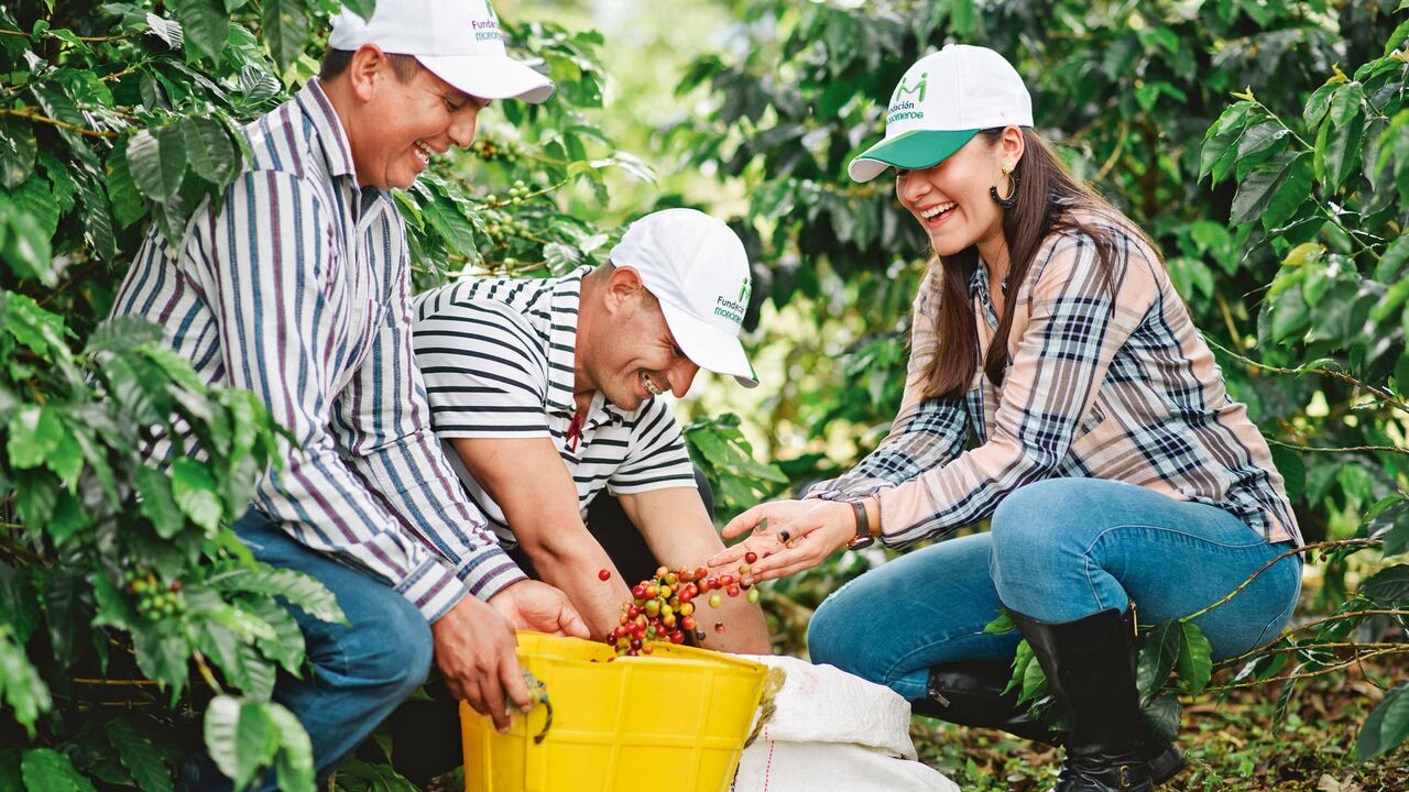 Gracias al programa Semillas de Vida, 2.253 productores agrícolas del Atlántico lograron incrementar la rentabilidad y productividad de sus cultivos.
