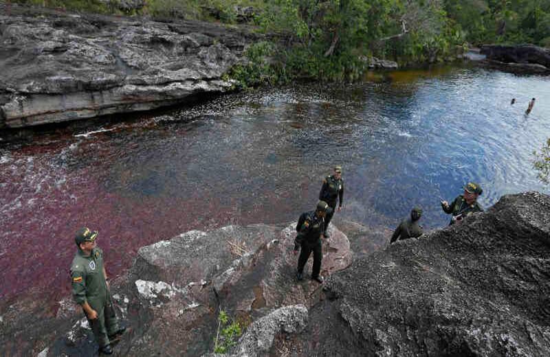 Foto: Guillermo Torres / SEMANA