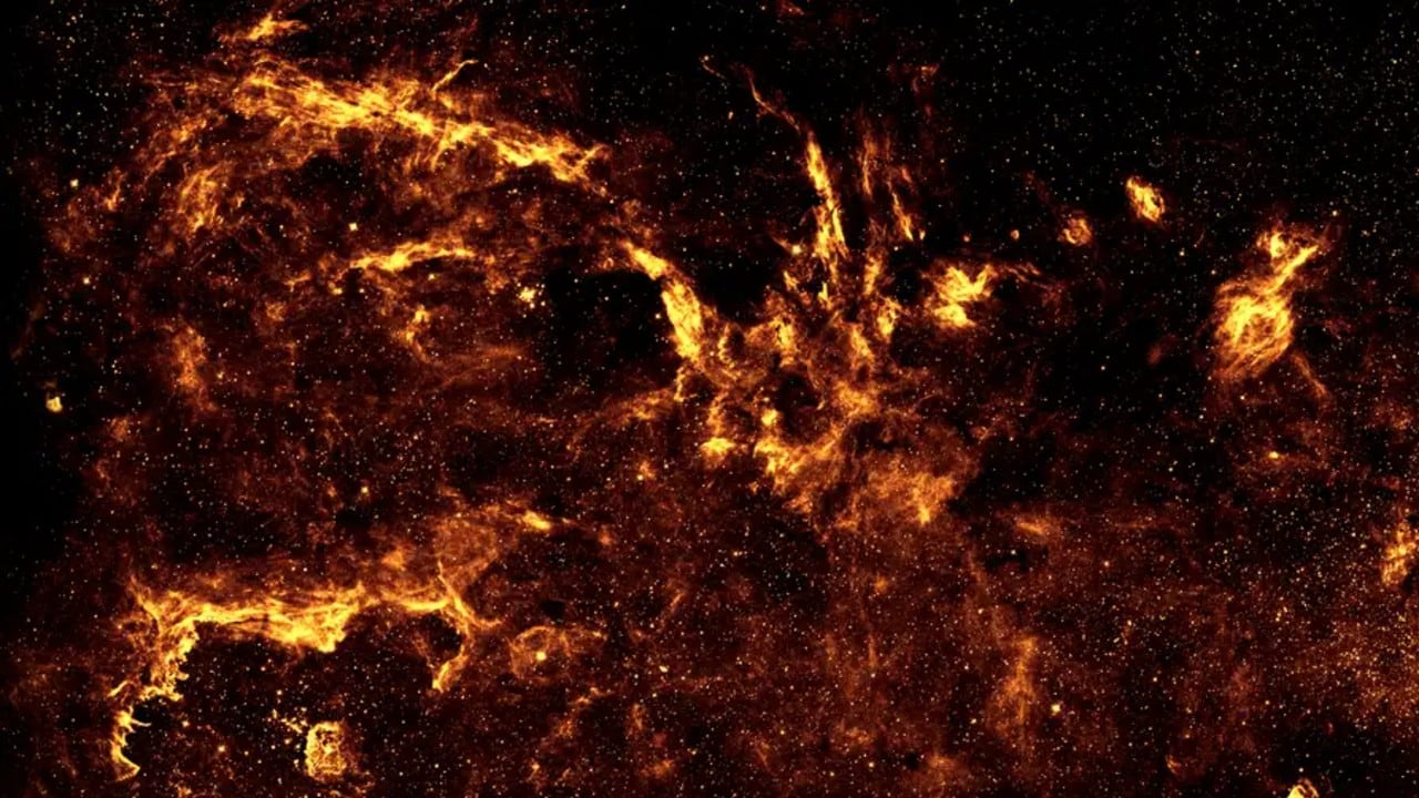 ¿Podrían existir formas de conciencia más allá de la biología terrestre?
