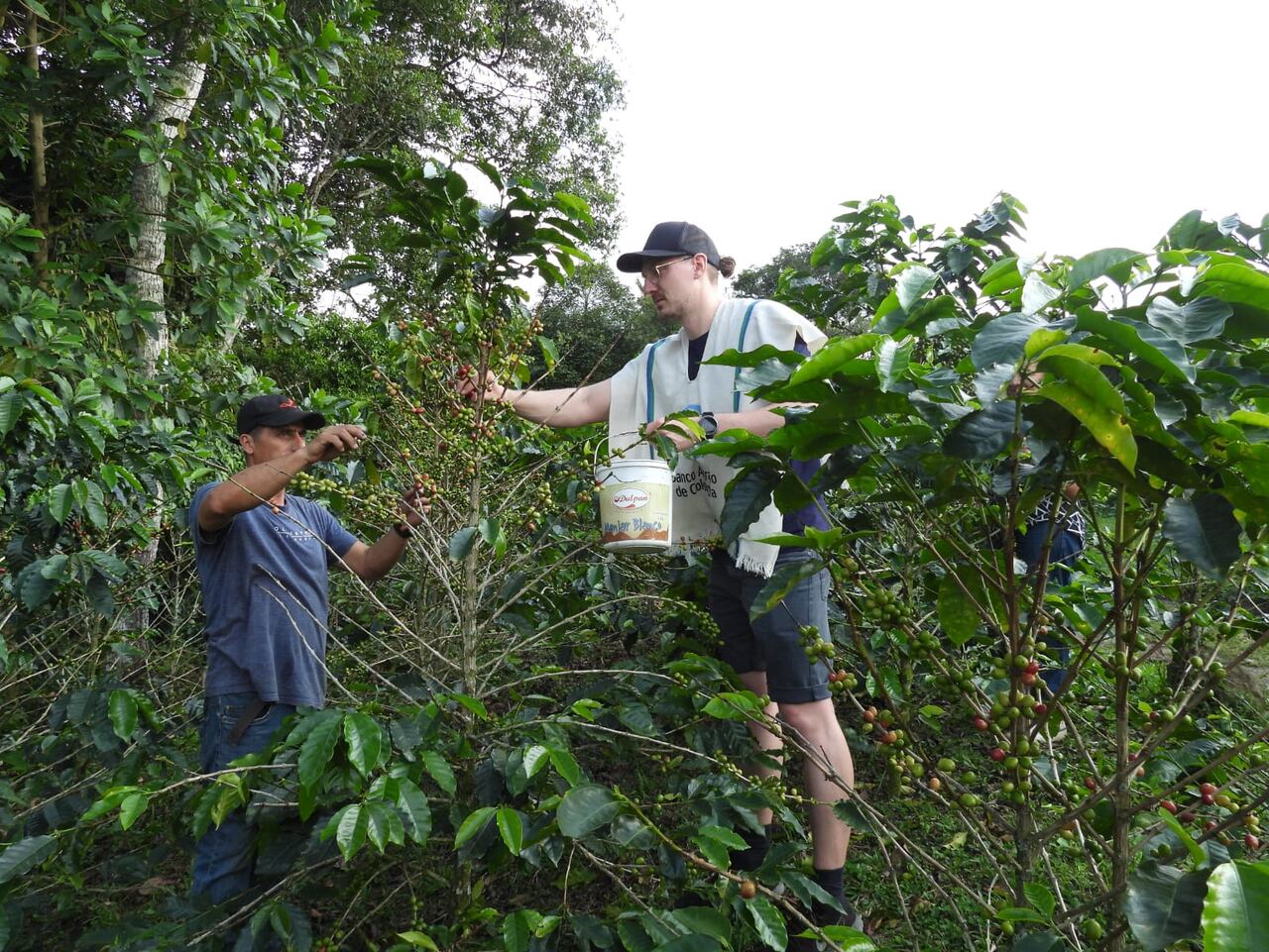 La Vega, Cundinamarca