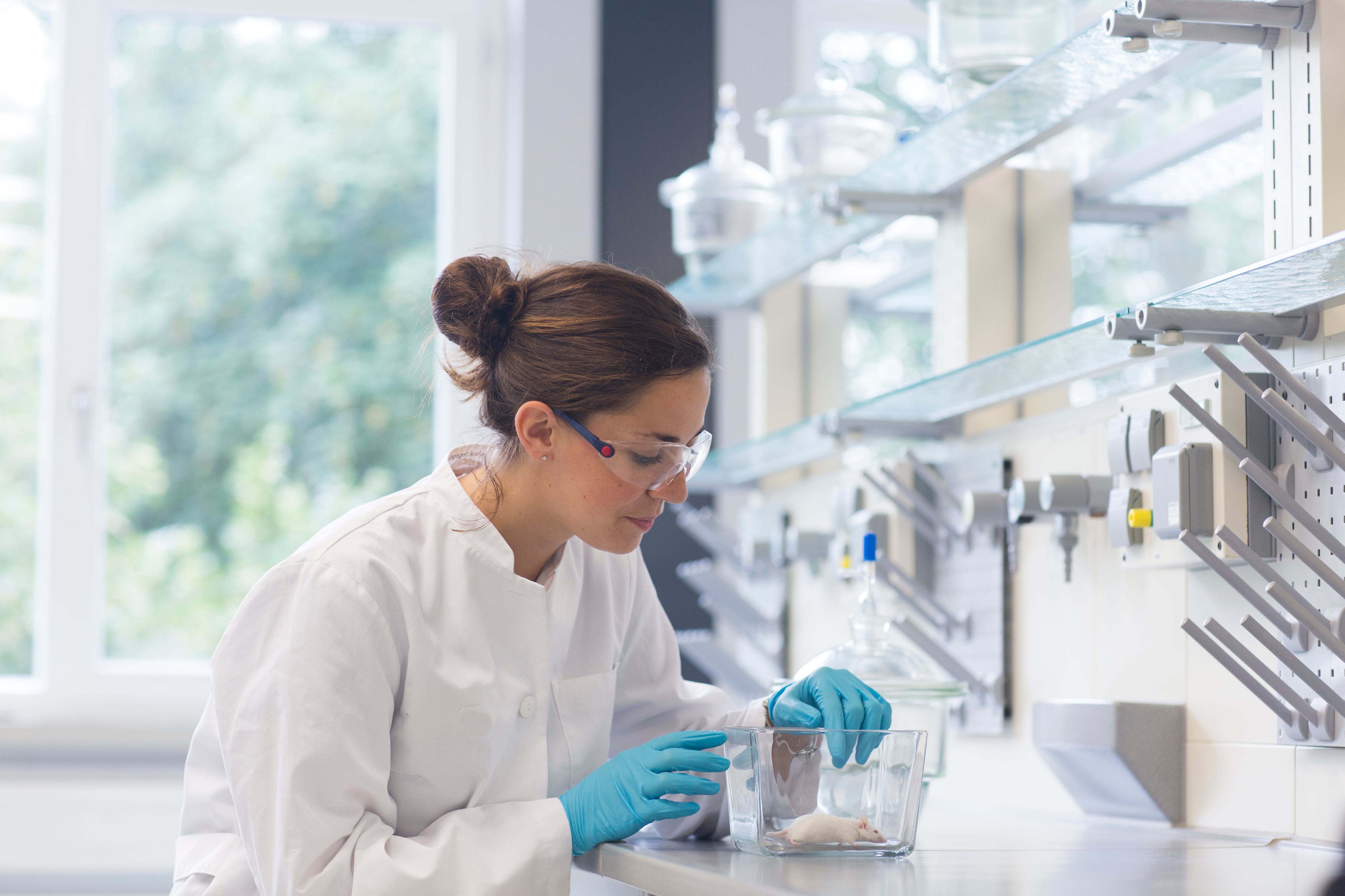 Gracias a este método, los investigadores lograron preservar diferentes aspectos del tejido cerebral de ratones.