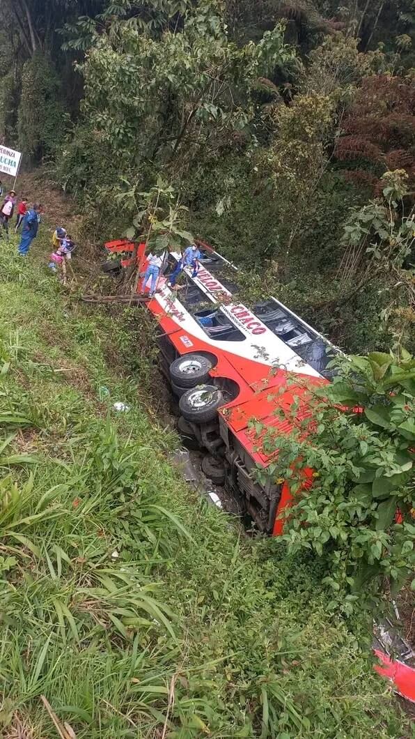 Twitter:@ViralBolivia (API)