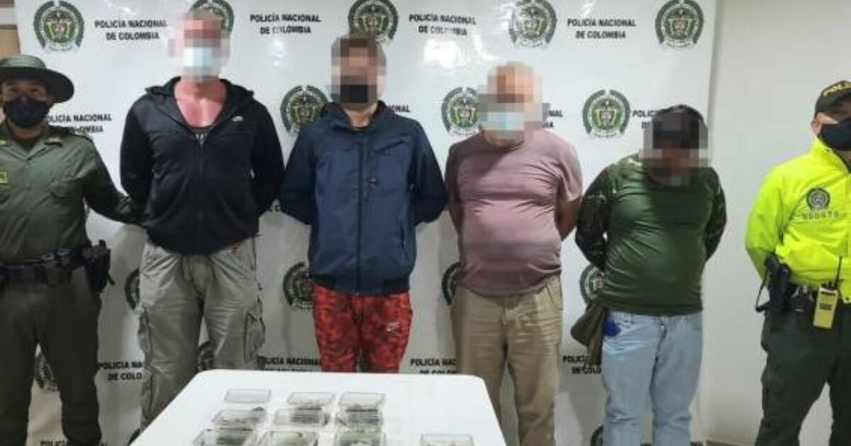 Extranjeros capturados por traficar tarántulas en Nariño.